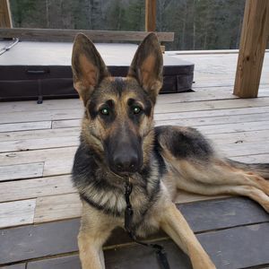 Meet your Posher, Mark